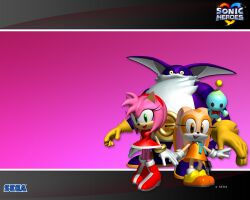 amy rose from sonic (series)