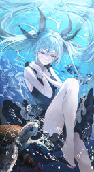hatsune miku from shinkai shoujo (vocaloid)