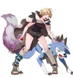 lycanroc from fire emblem