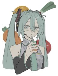 hatsune miku from vocaloid