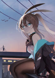 amiya (arknights) from arknights
