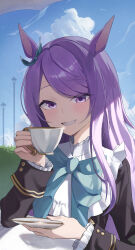 mejiro mcqueen (umamusume) from umamusume