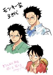 monkey d. dragon from one piece