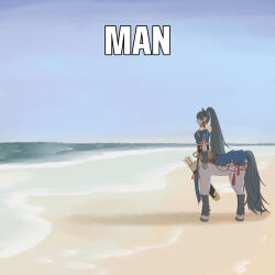 lyn (fire emblem) from fire emblem