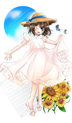 usami renko from touhou