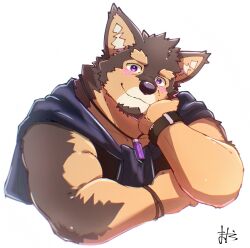 pubraseer (live a hero) from live a hero