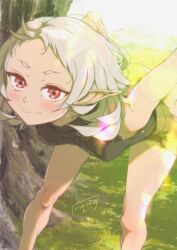sylphiette (mushoku tensei) from mushoku tensei