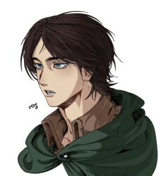 eren yeager from shingeki no kyojin