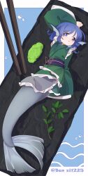 wakasagihime from touhou
