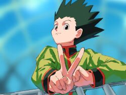 gon freecss from hunter x hunter
