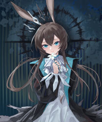amiya (arknights) from arknights