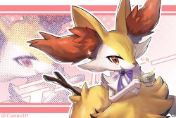 braixen from pokemon