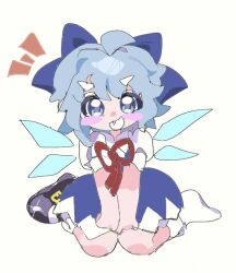 cirno from touhou