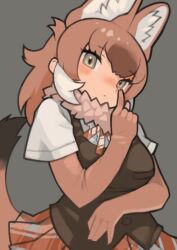 kemono friends fan art