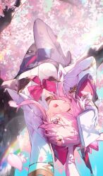 evanescia (honkai: star rail) from honkai: star rail