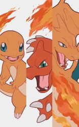 charizard from pokemon