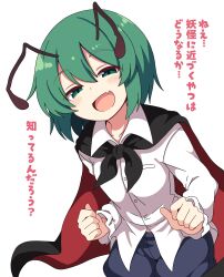 wriggle nightbug from touhou