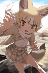 kemono friends fan art