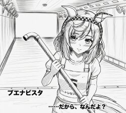buena vista (umamusume) from umamusume