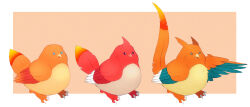 charizard from pokemon