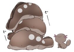 clodsire from pokemon