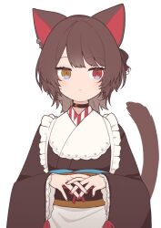 inui toko from nijisanji