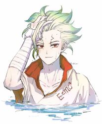 ishigami senkuu from dr. stone