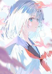 pixiv fan art