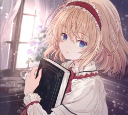 alice margatroid from touhou by mimi (rasy5002)