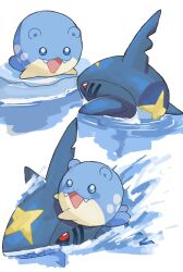 sharpedo from pokemon