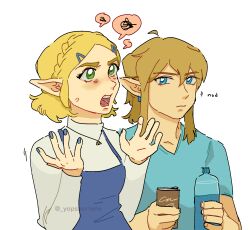 link from the legend of zelda
