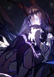 amiya (arknights) from arknights