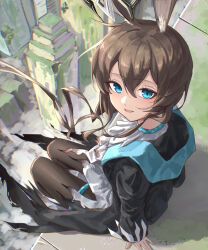 amiya (arknights) from arknights
