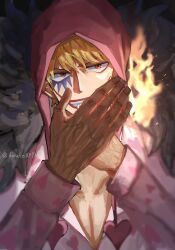 donquixote rocinante from one piece