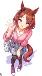 sakura laurel (umamusume) from umamusume