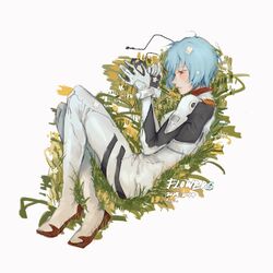 ayanami rei from neon genesis evangelion