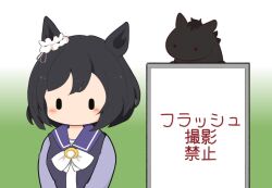 umamusume fan art