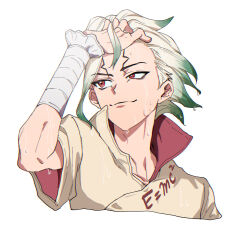 ishigami senkuu from dr. stone