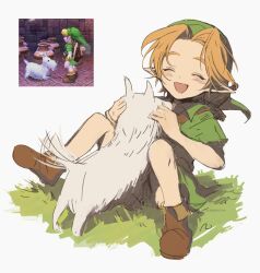 link from the legend of zelda