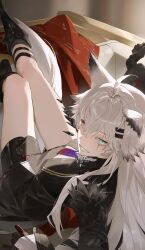 lappland (arknights) from arknights