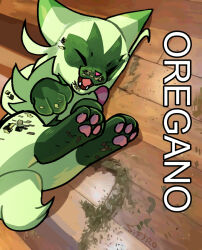 floragato from pokemon by sifyro