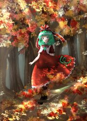 kagiyama hina from touhou