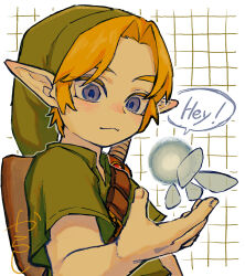 link from the legend of zelda