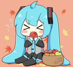 hatsune miku from vocaloid
