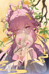 elysia (hi love elf) (honkai impact) from honkai (series)