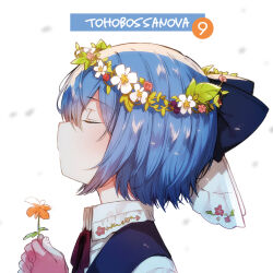 cirno from touhou by ichihaya