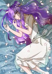 shampoo (ranma 1/2) from ranma 1/2
