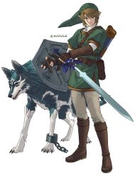 link from the legend of zelda