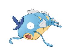magikarp from pokemon