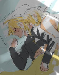kagamine len from vocaloid